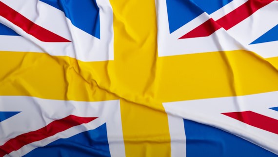 Swenglish flag