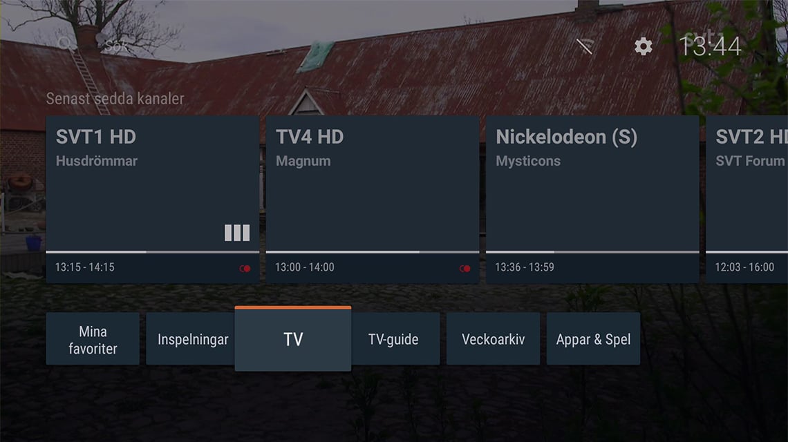 TV