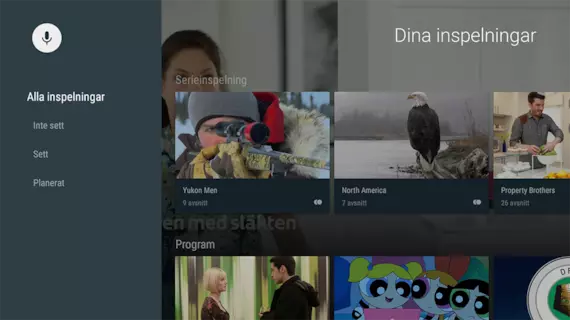 Spela in