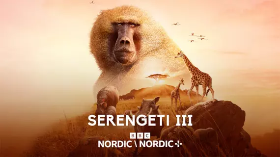 Serengeti III